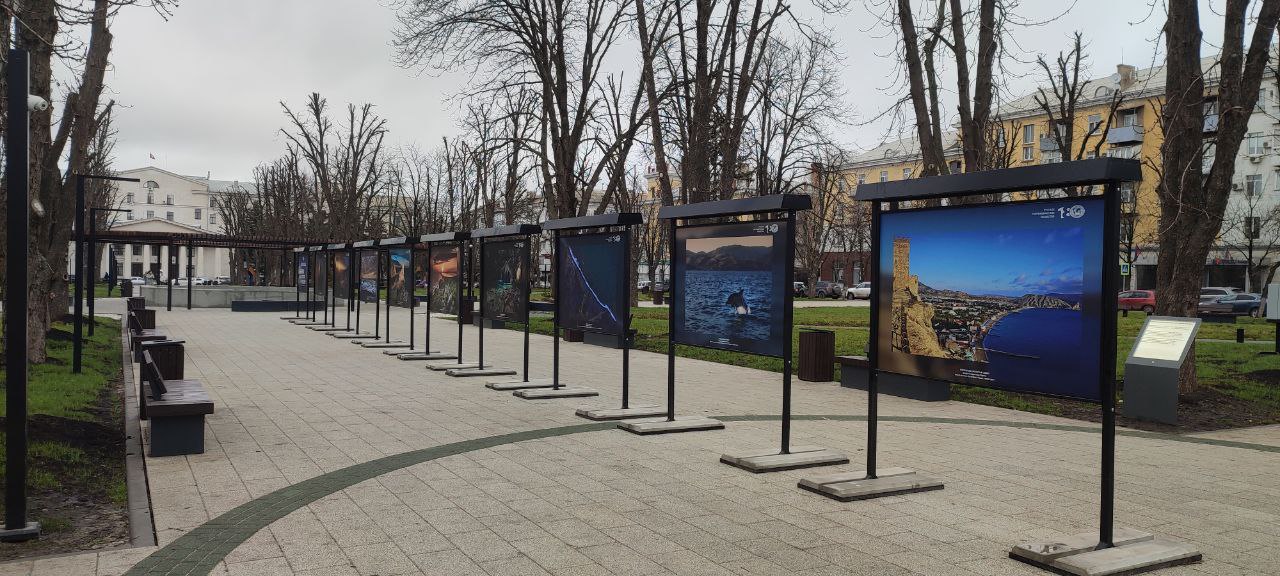 Паблисити, примеры работ